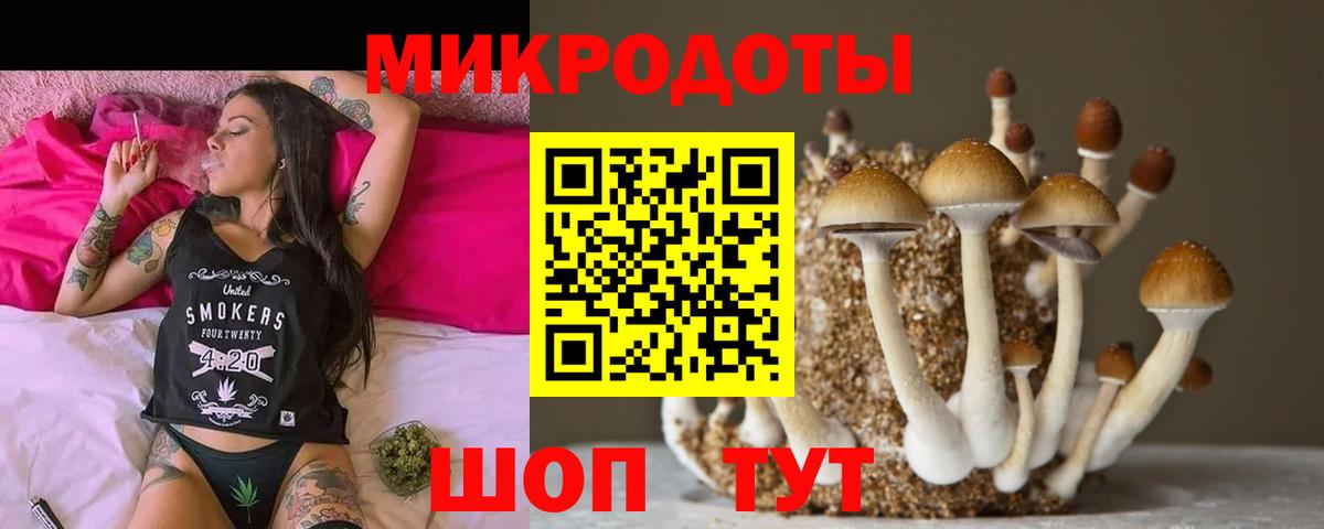 Псилоцибиновые грибы Psilocybe  где можно купить наркотик  Димитровград  Вход с VPN 