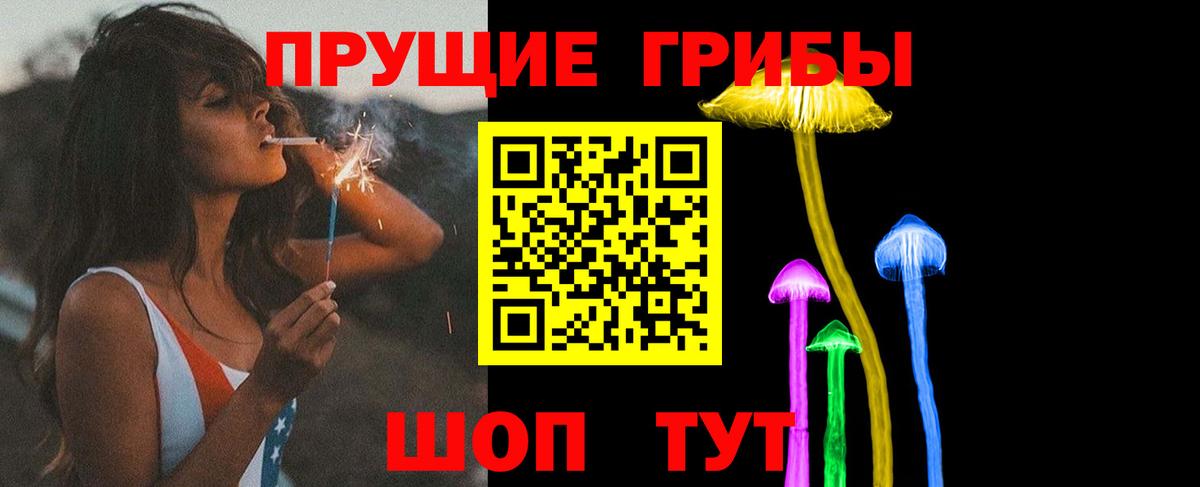 Галлюциногенные грибы Magic Shrooms Димитровград